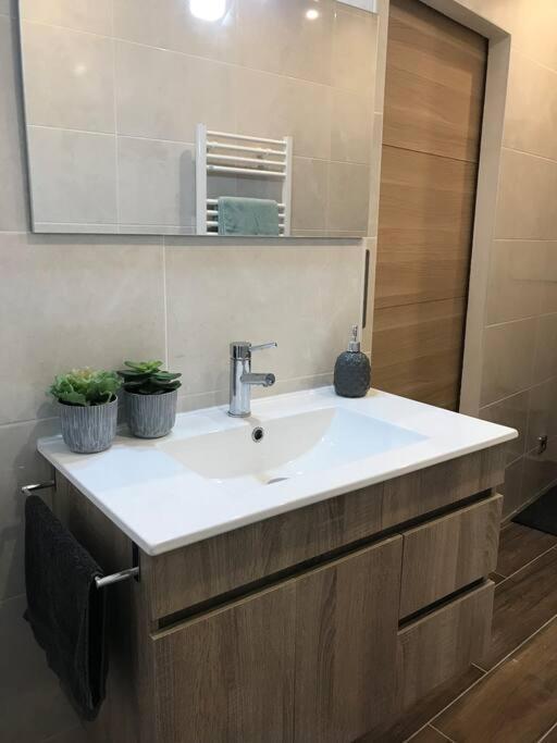 Studio 25M2 En Plein Coeur De Perpignano Esterno foto