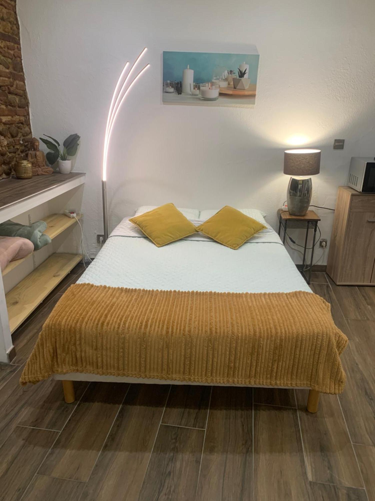 Studio 25M2 En Plein Coeur De Perpignano Esterno foto